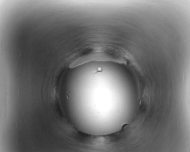 X0000089440330200706221234