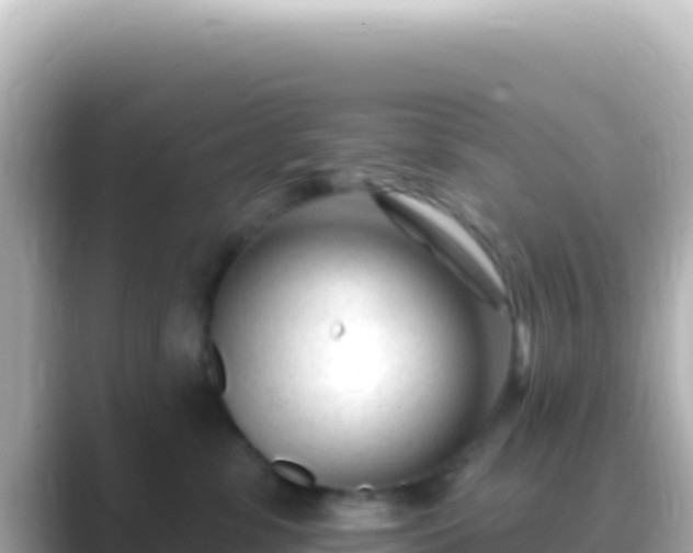 X0000089440331200706221234