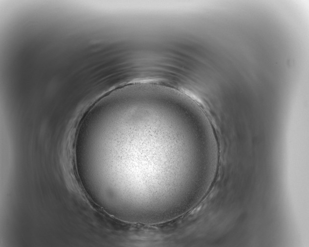 X0000089440337200706221233