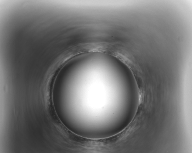 X0000089440339200706221233