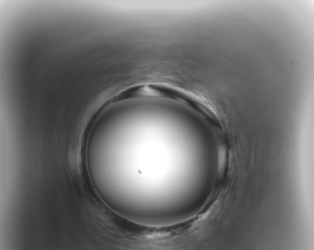 X0000089440340200706221233