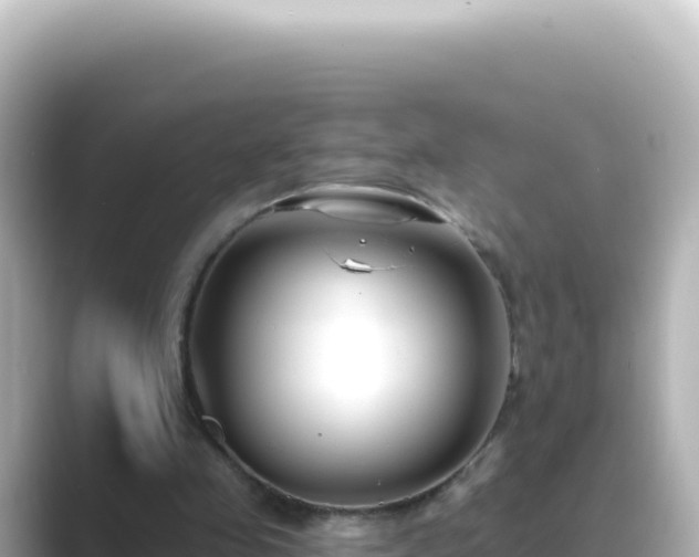 X0000089440341200706221233