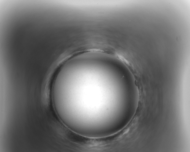 X0000089440343200706221233