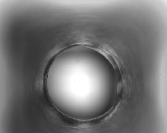 X0000089440344200706221233