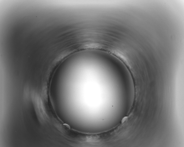 X0000089440345200706221233