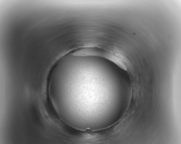 X0000089440346200706221233