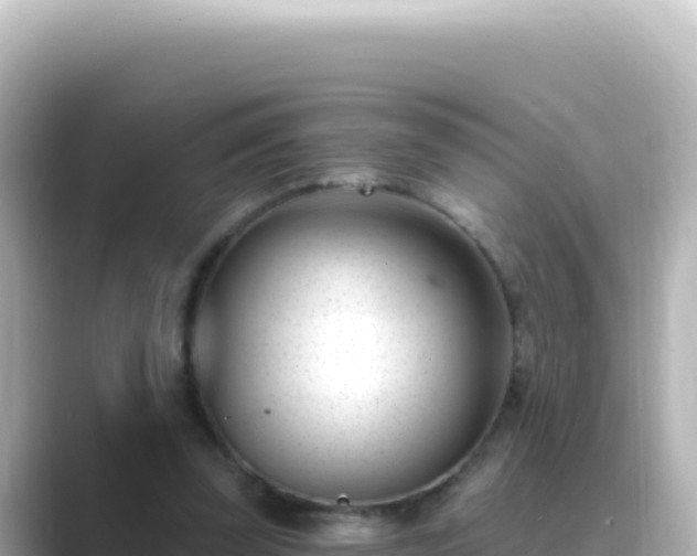 X0000089440347200706221233