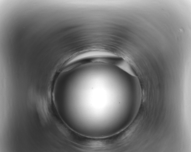 X0000089440349200706221233