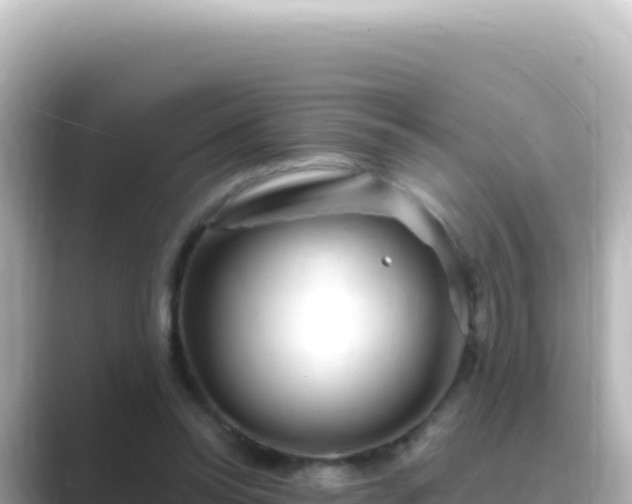 X0000089440350200706221233