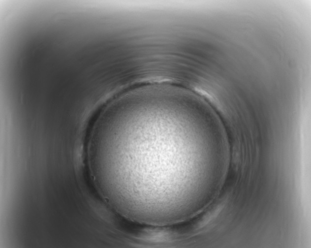 X0000089440351200706221233