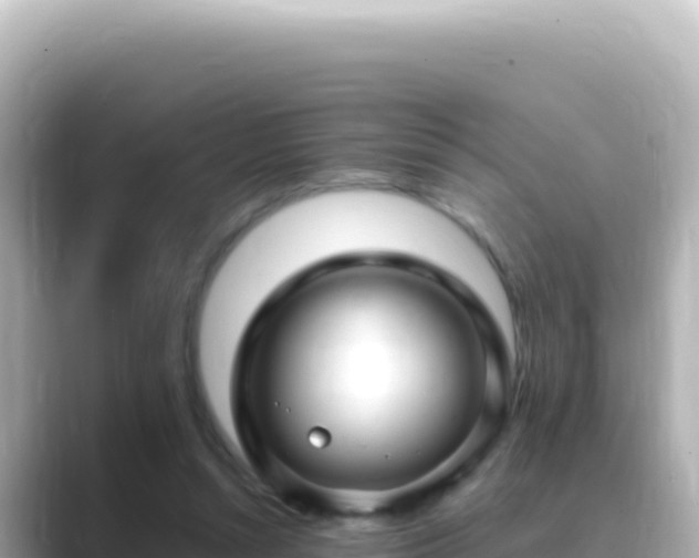 X0000089440352200706221233