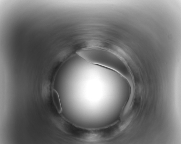 X0000089440356200706221233