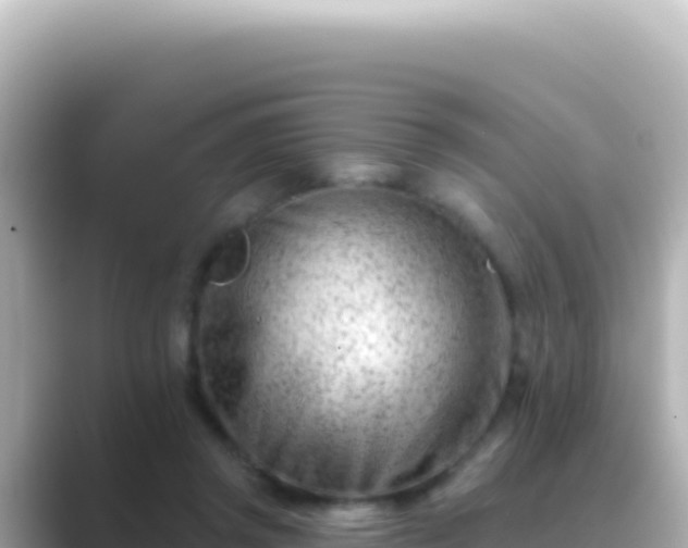 X0000089440357200706221233