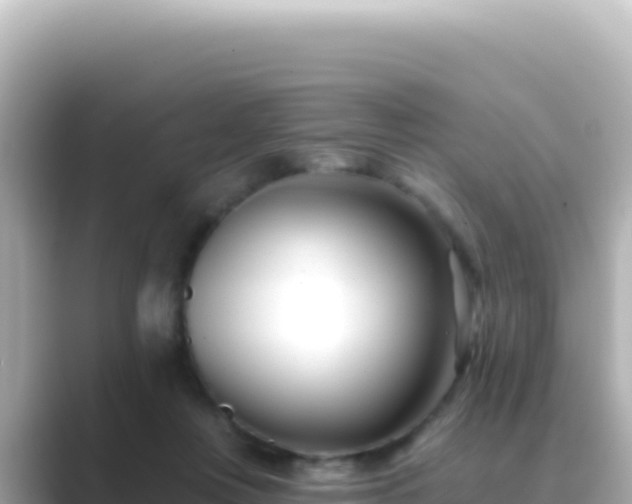 X0000089440359200706221233
