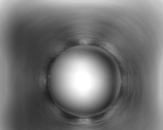 X0000089440363200706221233