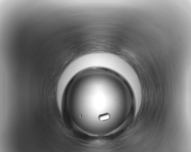 X0000089440364200706221233