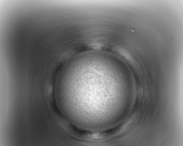 X0000089440365200706221233