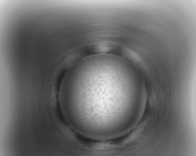 X0000089440366200706221233