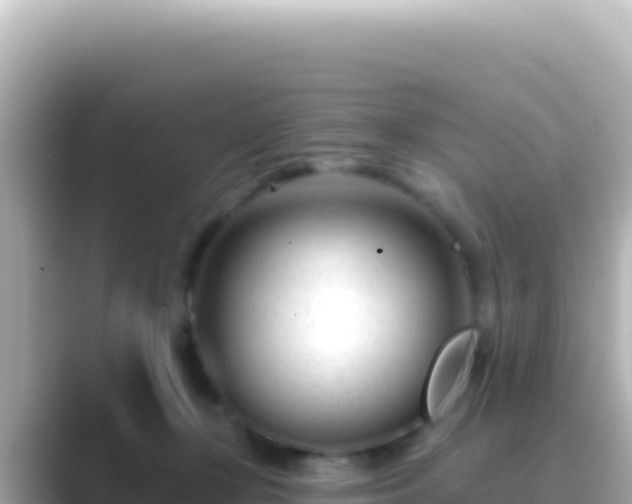 X0000089440367200706221233