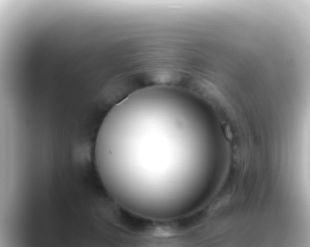 X0000089440368200706221233