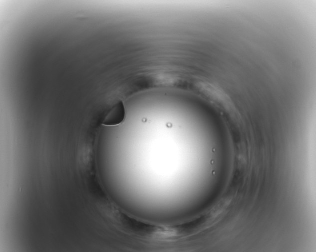 X0000089440369200706221233