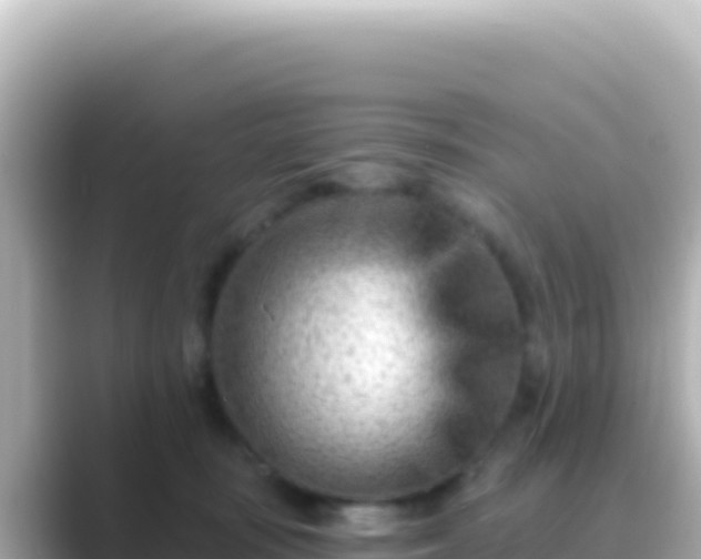 X0000089440371200706221233
