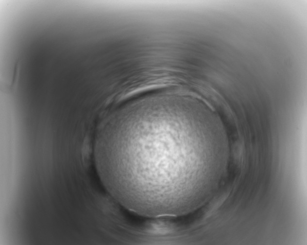 X0000089440372200706221233