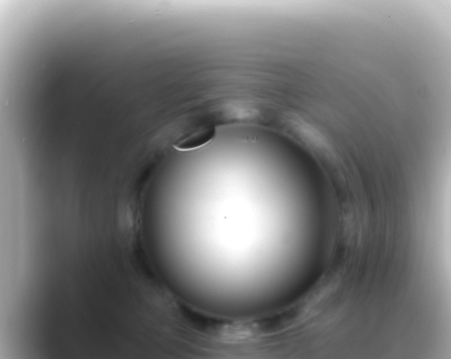X0000089440373200706221233