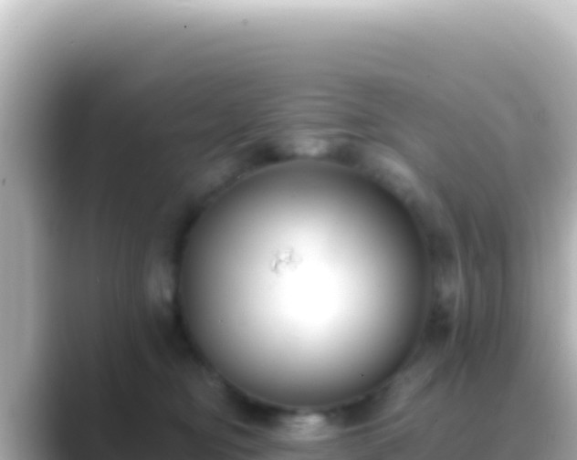 X0000089440374200706221233