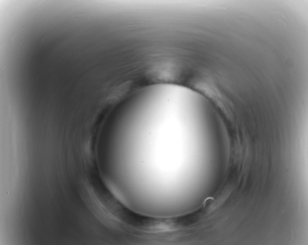 X0000089440377200706221233