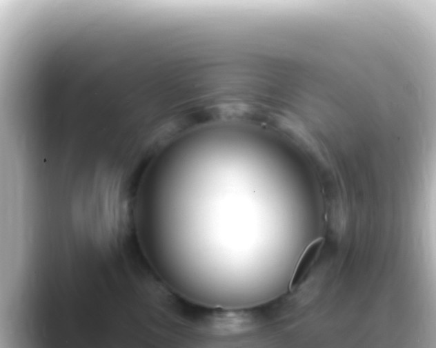 X0000089440378200706221233