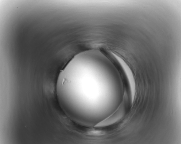 X0000089440380200706221233