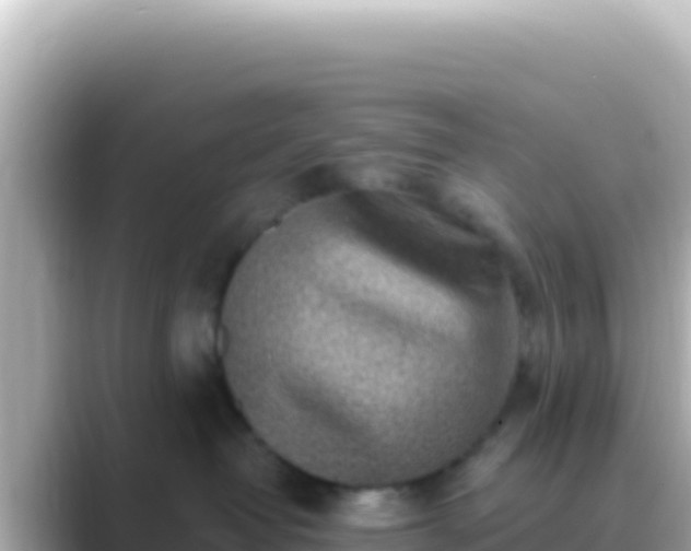 X0000089440382200706221233