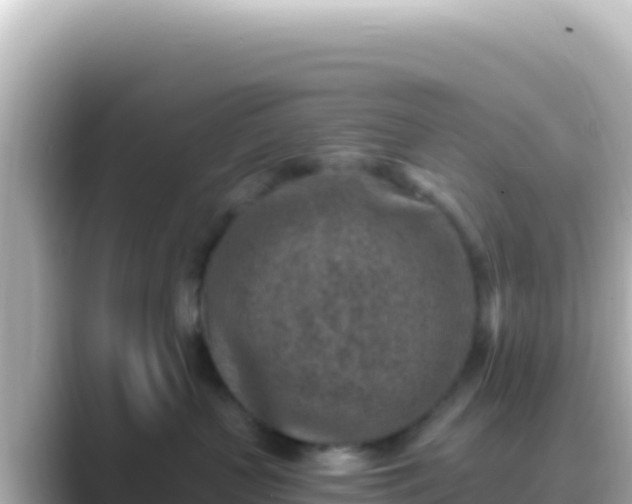 X0000089440383200706221233