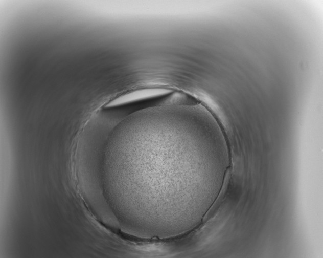 X0000089440385200706221233