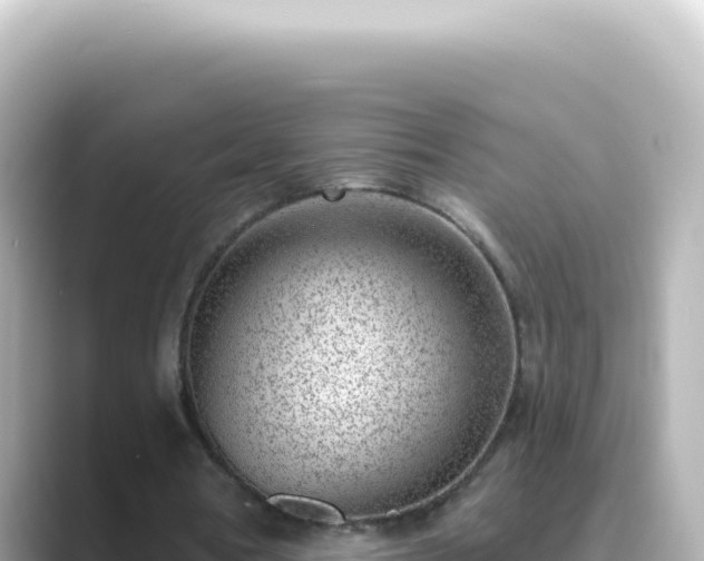 X0000089440386200706221233