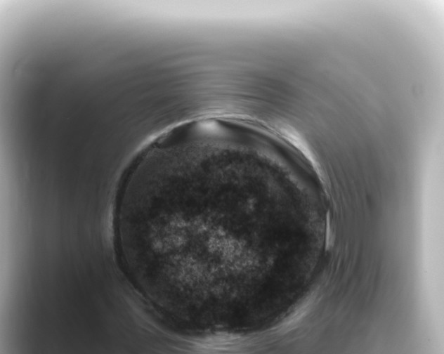 X0000089440387200706221233