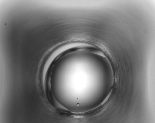 X0000089440388200706221233