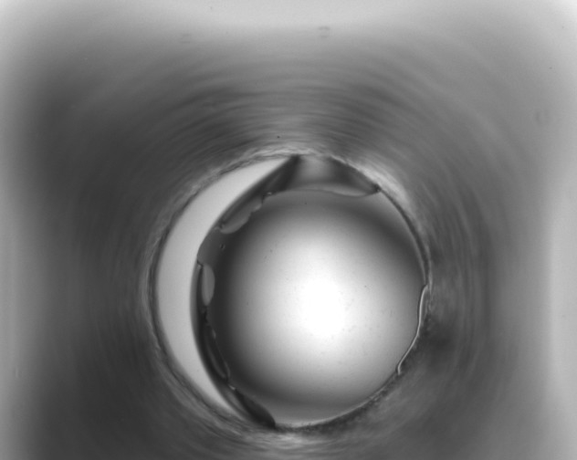 X0000089440389200706221233