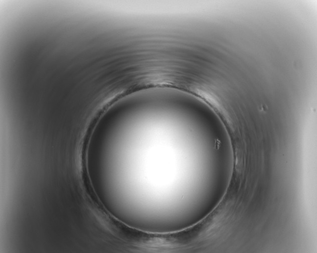 X0000089440390200706221233