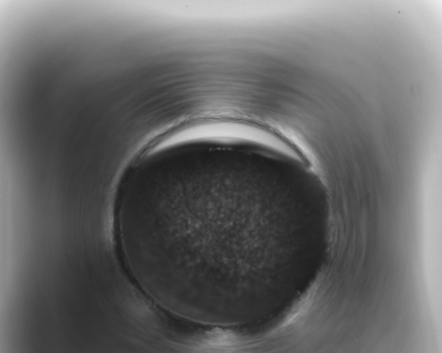 X0000089440391200706221233