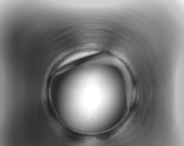 X0000089440392200706221233