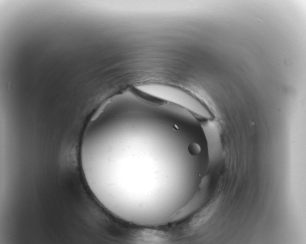 X0000089440393200706221233