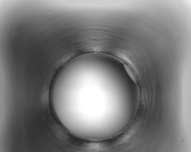 X0000089440394200706221233