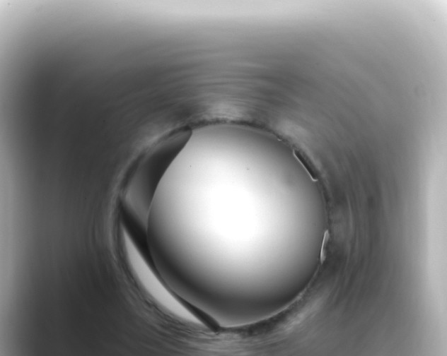 X0000089440395200706221233