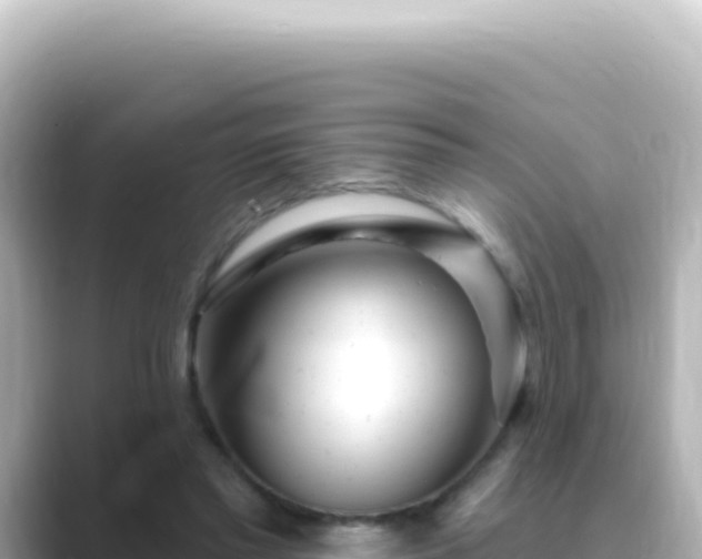 X0000089440397200706221233