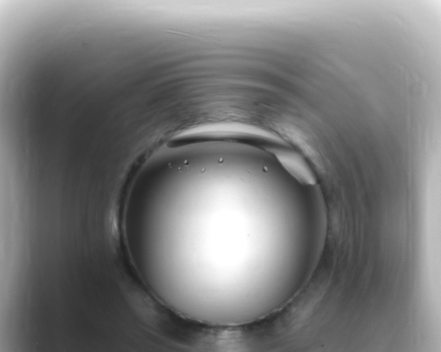 X0000089440398200706221233