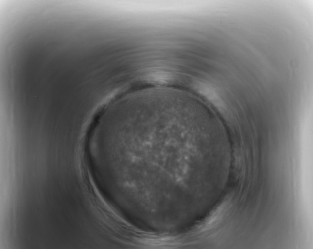 X0000089440399200706221233
