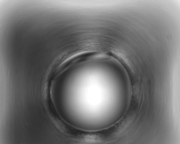 X0000089440400200706221233