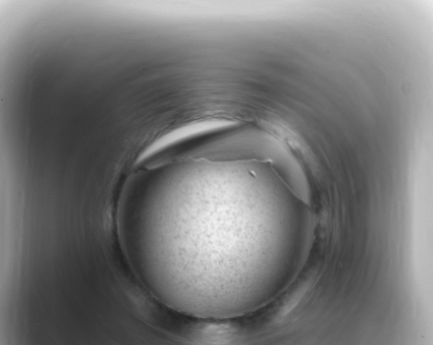 X0000089440401200706221233